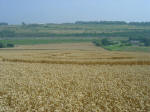 Nashenden Farm, Kent crop circle, aerial photo 6