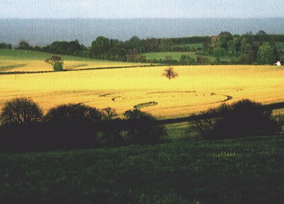 Icknield Way, Hertfordshire crop circle, aerial photo 5