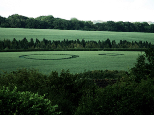 Rabley Wood, Wiltshire crop circle, aerial photo 3