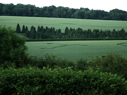 Rabley Wood, Wiltshire crop circle, aerial photo 4