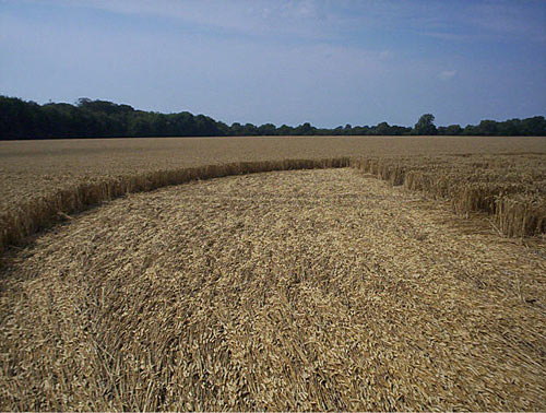 Savernake Forest, Wiltshire crop circle, aerial photo 5