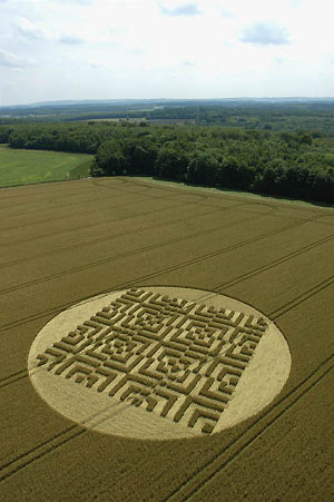 Savernake Forest, Wiltshire crop circle, aerial photo 14