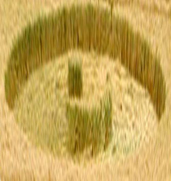 Scratchbury Hill, Wiltshire crop circle, aerial photo 8