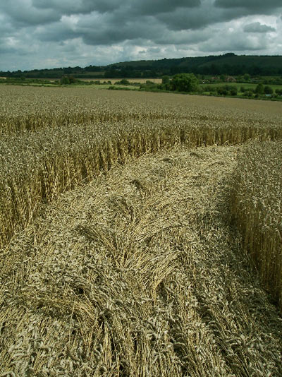Shalbourne, Wiltshire crop circle, aerial photo 12