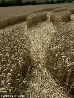 Shalbourne, Wiltshire crop circle, aerial photo 9