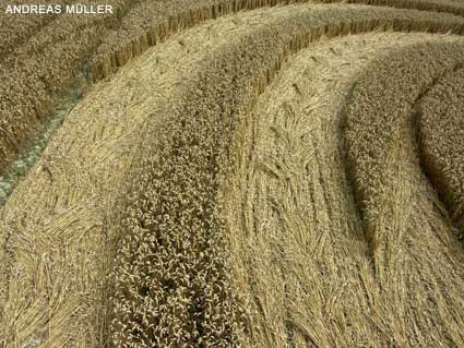 Shalbourne, Wiltshire crop circle, aerial photo 8