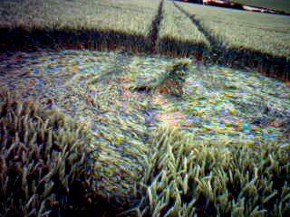 Meppershall Road, Bedfordshire crop circle, aerial photo 3