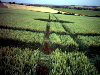 Meppershall Road, Bedfordshire crop circle, aerial photo 2
