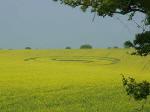 Tegdown Hill, Sussex crop circle, aerial photo 10