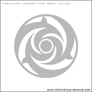 Beacon hill, Berkshire crop circle, aerial photo 6