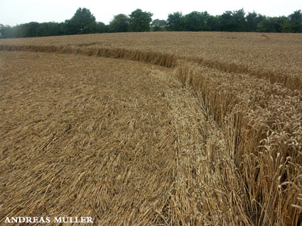 Beacon hill, Berkshire crop circle, aerial photo 3