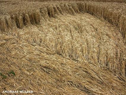 Beacon hill, Berkshire crop circle, aerial photo 5