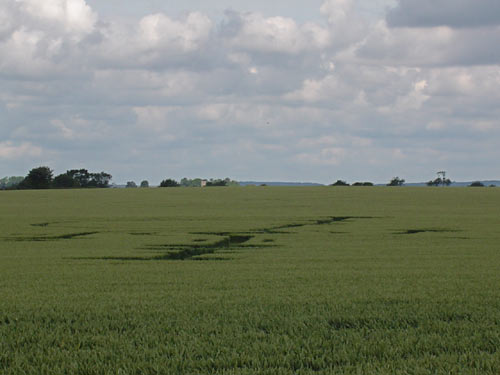 Bury Farm, Hertfordshire crop circle, aerial photo 5