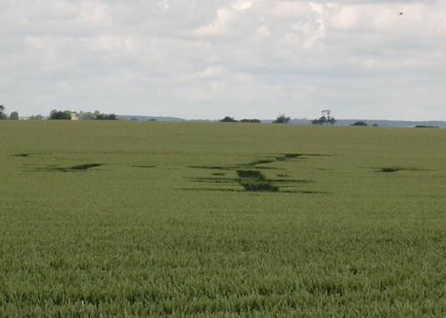 Bury Farm, Hertfordshire crop circle, aerial photo 6
