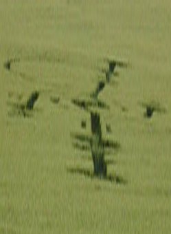 Bury Farm, Hertfordshire crop circle, aerial photo 4