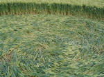Bury Farm, Hertfordshire crop circle, aerial photo 14