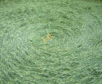 East Field, Wiltshire crop circle, aerial photo 17