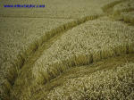 Garsington, Oxfordshire crop circle, aerial photo 5