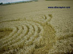 Garsington, Oxfordshire crop circle, aerial photo 4