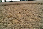 Garsington, Oxfordshire crop circle, aerial photo 12