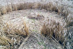 Garsington, Oxfordshire crop circle, aerial photo 9
