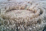 Garsington, Oxfordshire crop circle, aerial photo 10