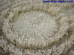 Garsington, Oxfordshire crop circle, aerial photo 3
