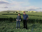 Honey Street, Wiltshire crop circle, aerial photo 7