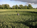 Honey Street, Wiltshire crop circle, aerial photo 6