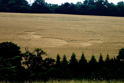 Margery, Surry crop circle, aerial photo 4