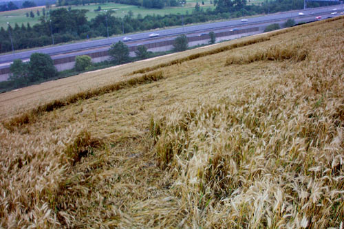 Margery, Surry crop circle, aerial photo 5
