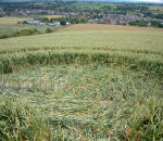 Market Lavington, Wiltshire crop circle, aerial photo 4