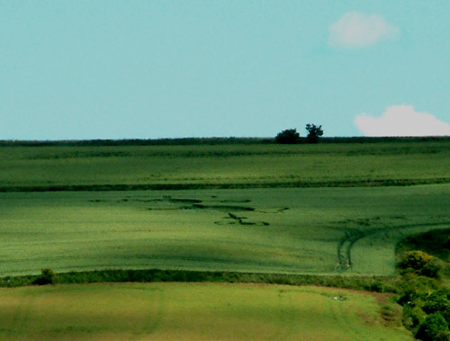 Market Lavington, Wiltshire crop circle, aerial photo 3