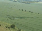 Milk Hill, Wiltshire crop circle, aerial photo 17