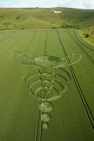 Milk Hill, Wiltshire crop circle, aerial photo 3