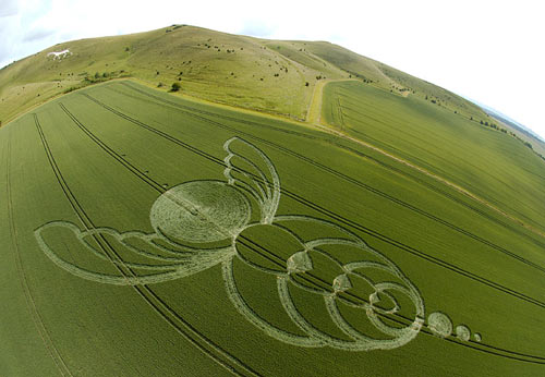 Milk Hill, Wiltshire crop circle, aerial photo 7