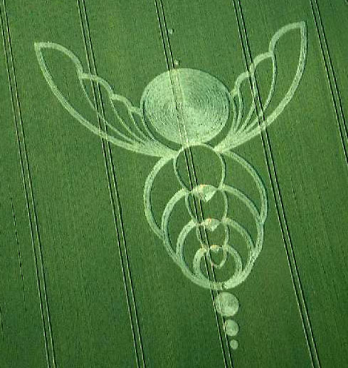 Milk Hill, Wiltshire crop circle, aerial photo 5