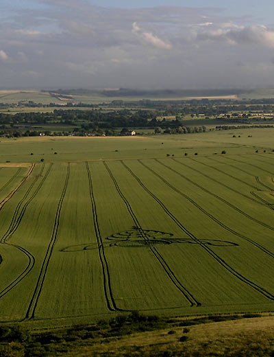 Milk Hill, Wiltshire crop circle, aerial photo 8