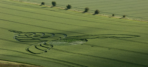 Milk Hill, Wiltshire crop circle, aerial photo 9