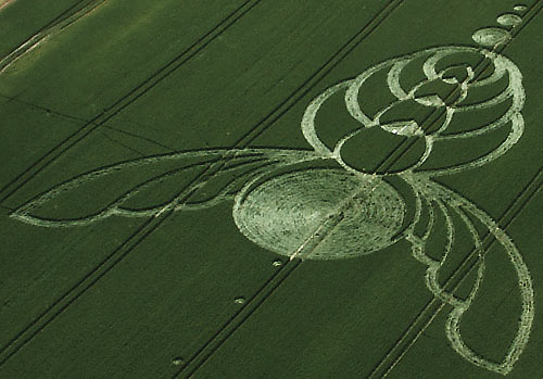 Milk Hill, Wiltshire crop circle, aerial photo 10