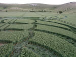 Milk Hill, Wiltshire crop circle, aerial photo 12