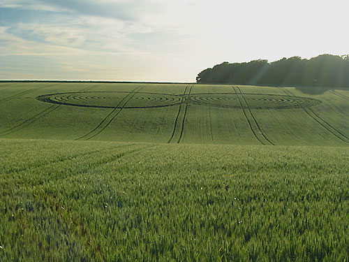 Fort Nelson, Hampshire crop circle, aerial photo 6