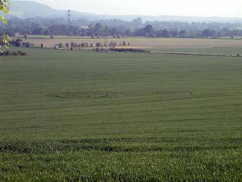 Pewsey White Horse, Wiltshire crop circle, aerial photo 2