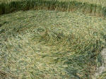 Pewsey White Horse (2), Wiltshire crop circle, aerial photo 5