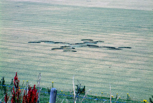 Pewsey White Horse (2), Wiltshire crop circle, aerial photo 12