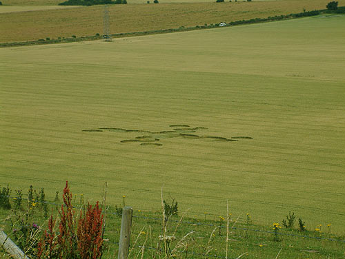Pewsey White Horse (2), Wiltshire crop circle, aerial photo 13