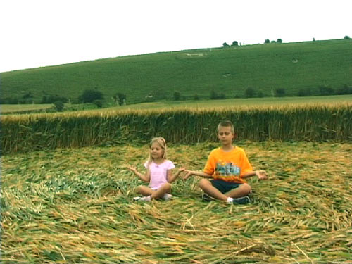 Pewsey White Horse (3), Wiltshire crop circle, aerial photo 10