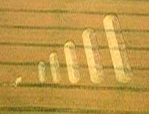 Pewsey White Horse (4), Wiltshire crop circle, aerial photo 3