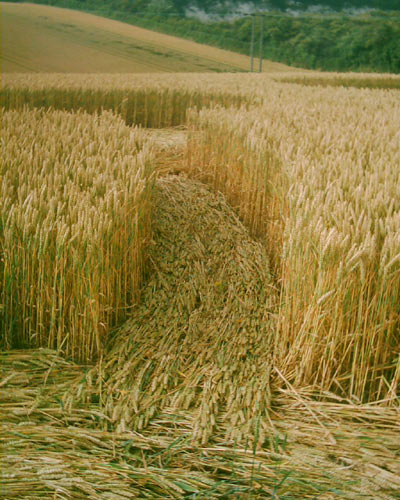 The Pilgrim's Way, Kent crop circle, aerial photo 7
