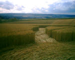 The Pilgrim's Way, Kent crop circle, aerial photo 10
